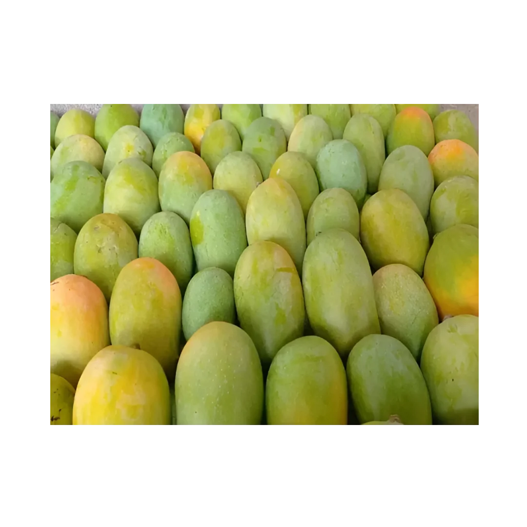 Fresh Fresh Kesar Mango (6Pcs) 